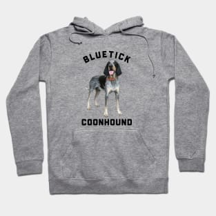 BLUETICK COONHOUND Hoodie